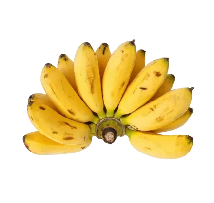 Apple banana( ndiizi) cluster
