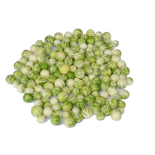 Bitter berries(katunkuma)