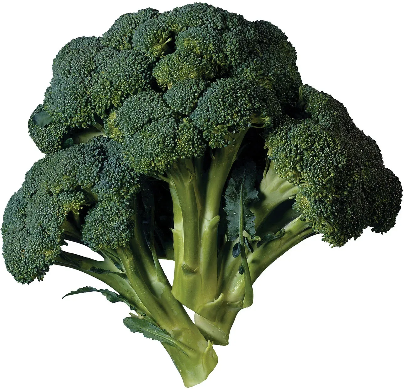 Vegetables