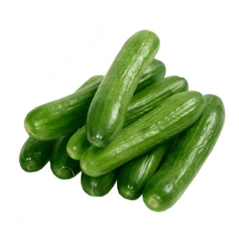 English cucumber
