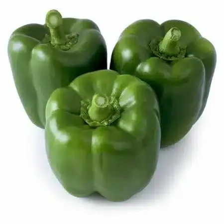 Green pepper (capsicum)