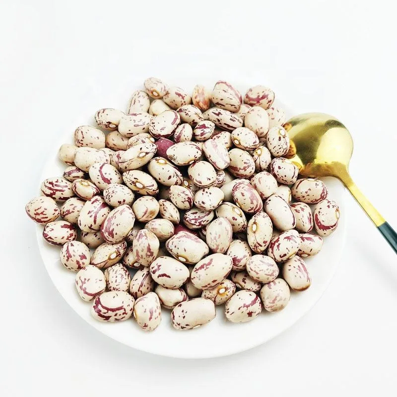 Fresh beans 3,500 per cup
