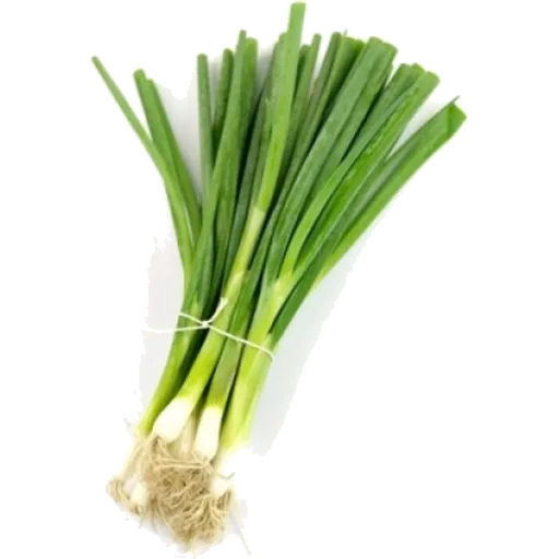 Spring onions