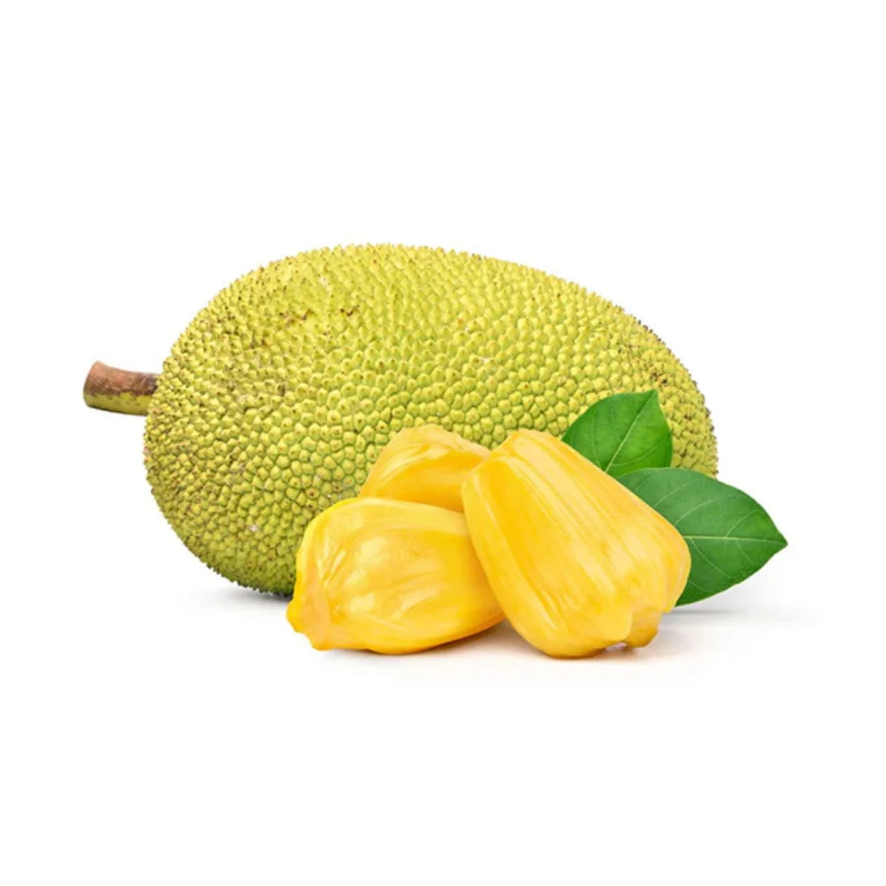 Jack fruit(fene) per whole piece