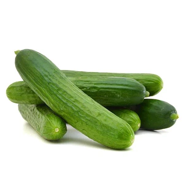 Local cucumber