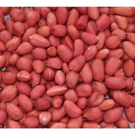Ground Nuts (whole grain)