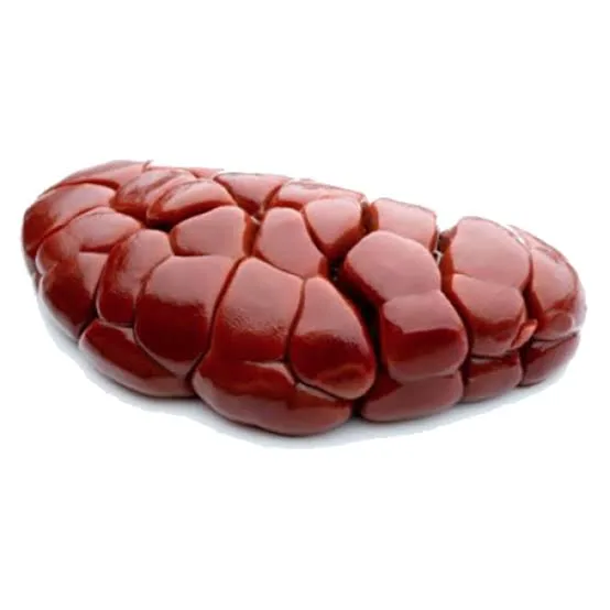 Kidney