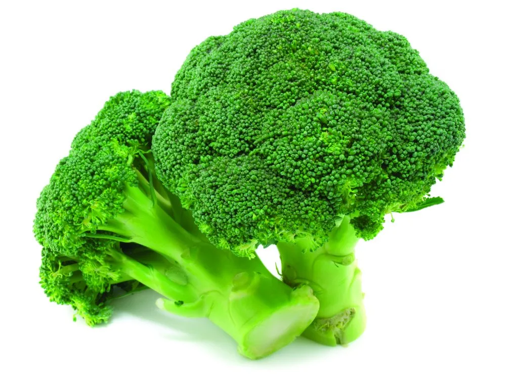 Brocolli