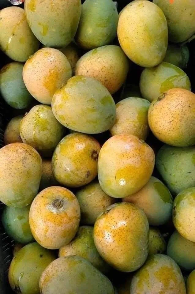 Local Mangoes (Kagogwa)