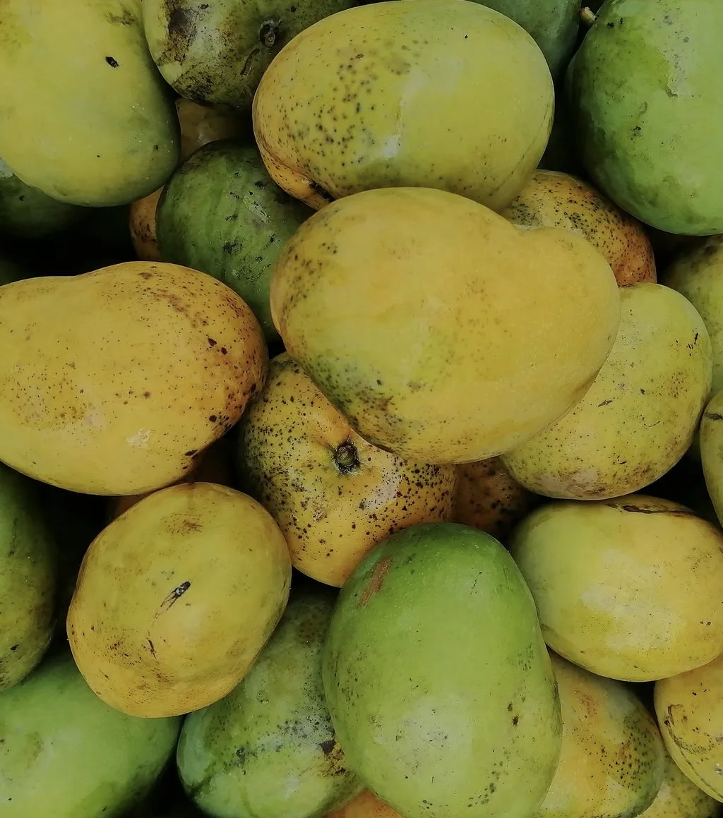 Takataka (kate) Mangoes